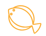 drawn fish image