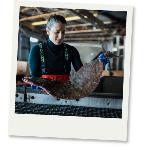 Micah Daniels - Fresh Catch Seafood