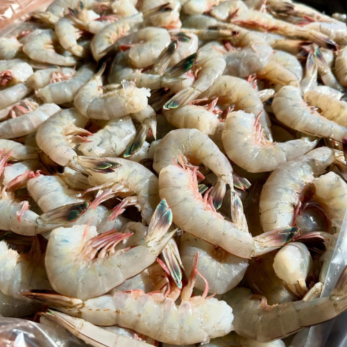 Fresh Outer Banks,NC Shrimp