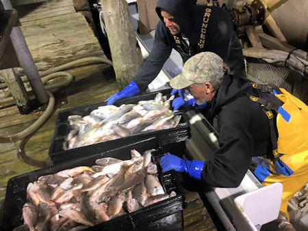 Fresh Catch Seafood Employees moving wholesale fish